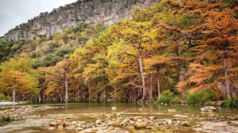 Top 10 Must-Visit Places in East Texas for an Unforgettable Adventure