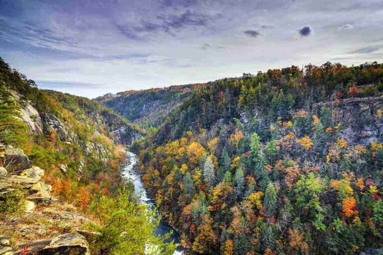 Top Must-Visit Places in Georgia’s Valley and Ridge Region